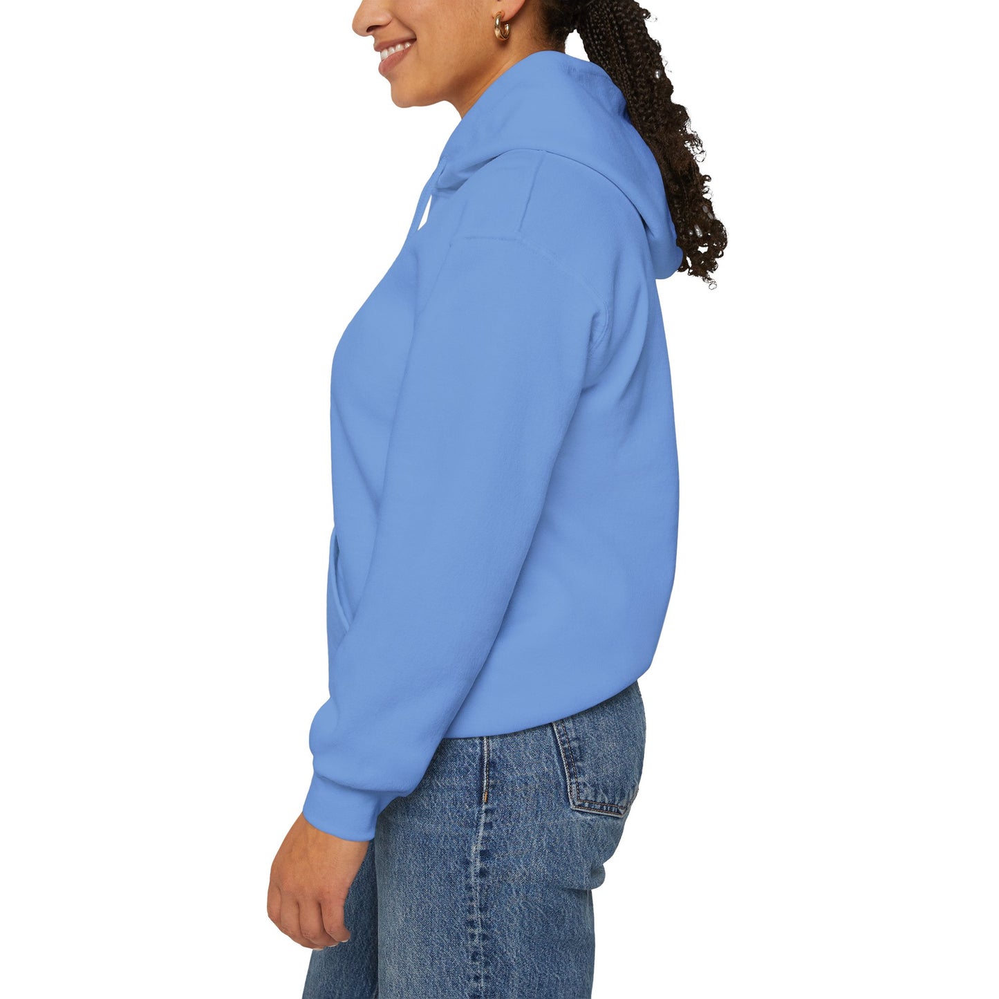Math Circle Hoodie — OMC Orlando Math Circle Pullover