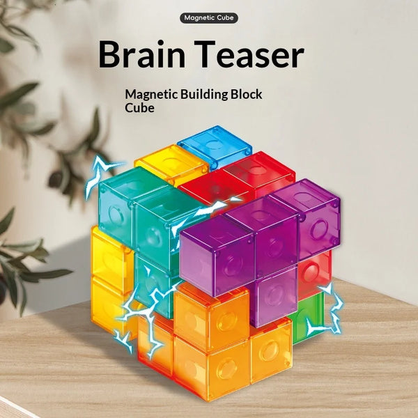 Magnetic Building Blocks Soma Cube Educational Brain Teaser Early Learning Toy